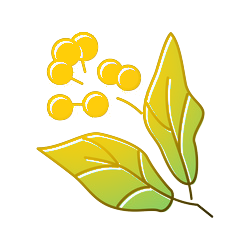 Natural Camphor - Sohamna Organics